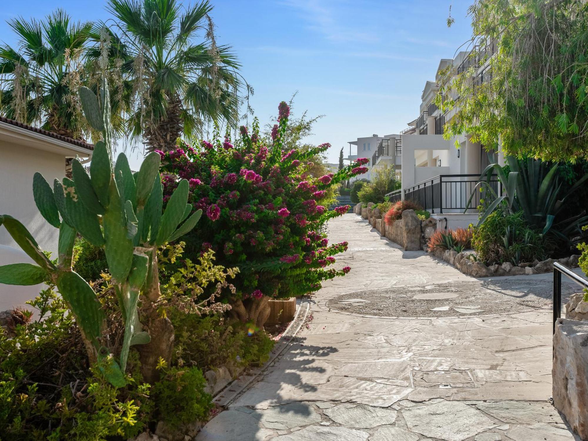 Klorakas Sanders Seaview מראה חיצוני תמונה